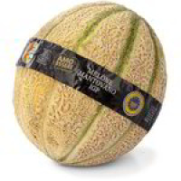MELONE MANTOVANO IGP