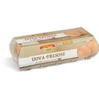 Uova Fresche Medie Categoria a da Allevamento a Terra