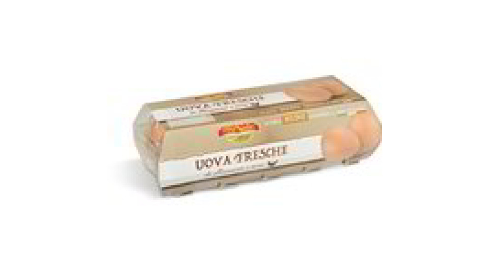 Uova Fresche Medie Categoria a da Allevamento a Terra