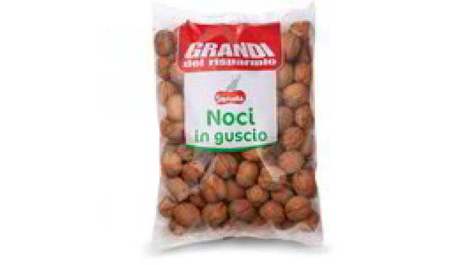 Noci in guscio