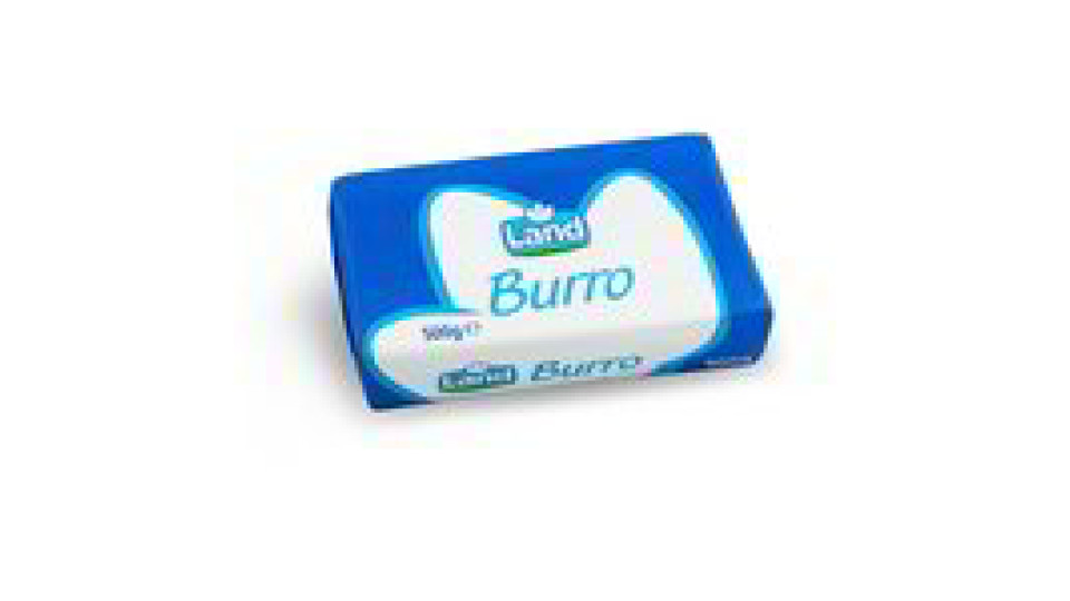 Burro