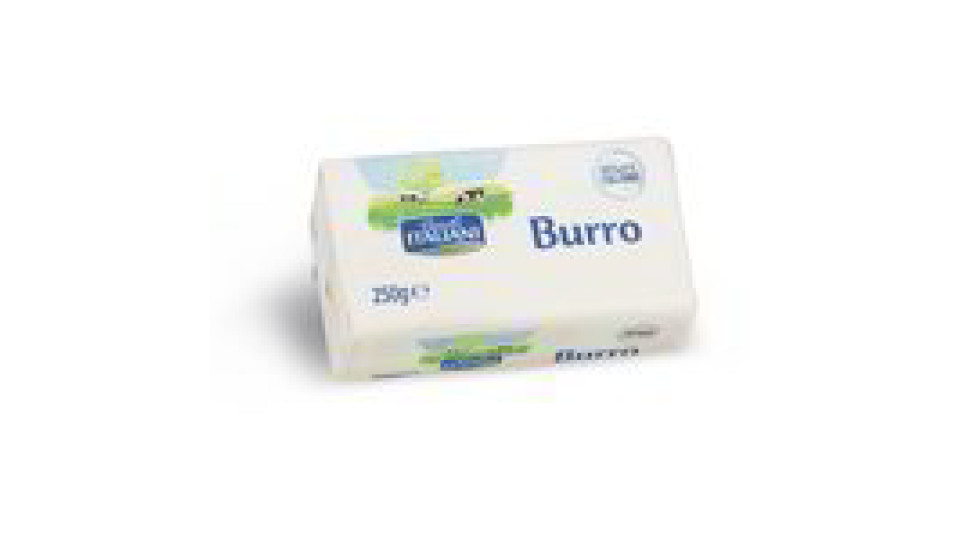 Burro