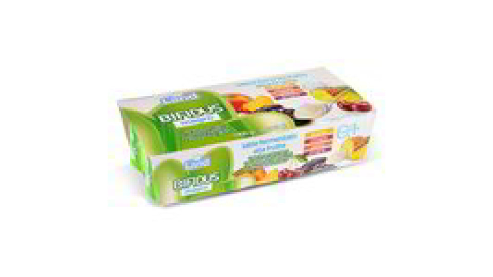 Yogurt Bifidus Magro