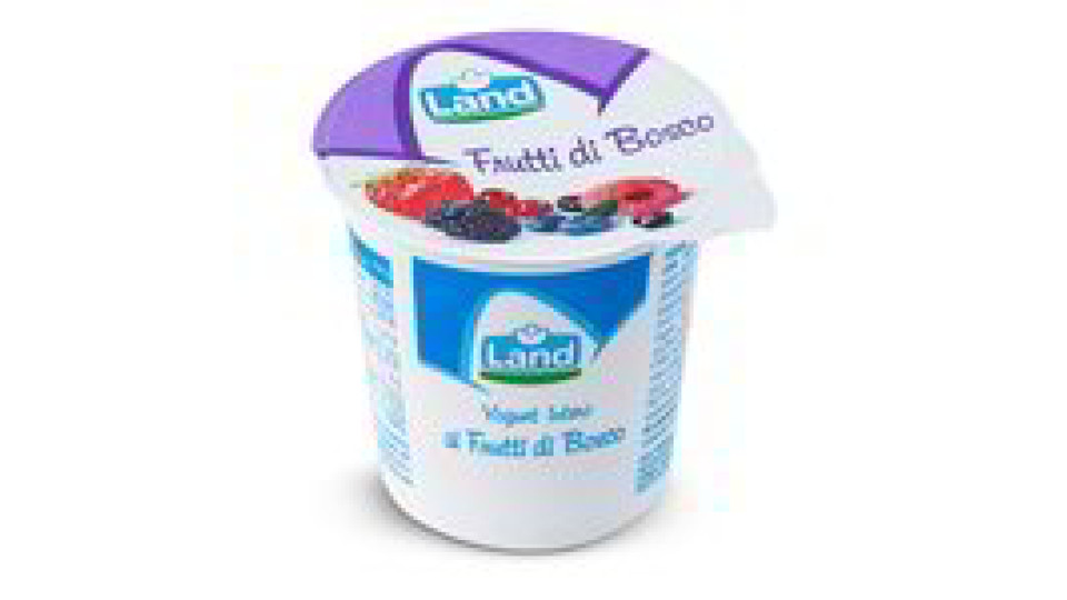 Yogurt Frutti Bosco