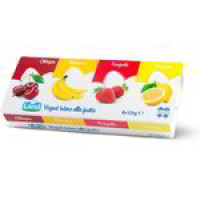 Yogurt Intero Frutta Mista 