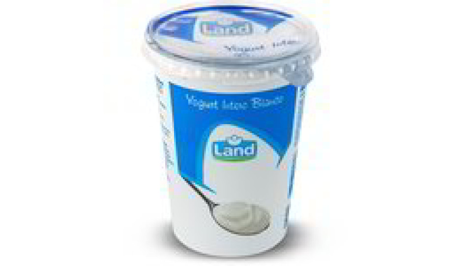 YOGURT INTERO