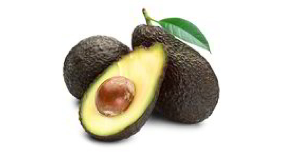 Avocado Rete