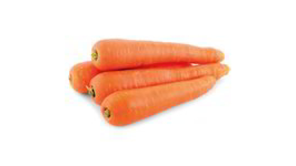 Carote