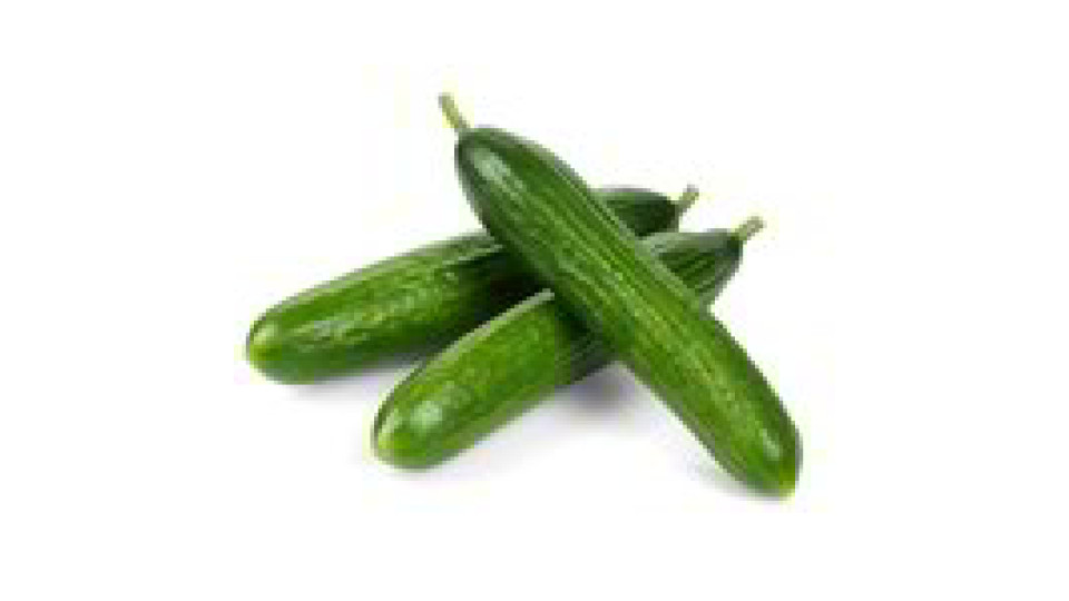 Cetrioli Lunghi  Spagna