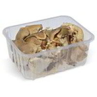 Funghi Pleurotus
