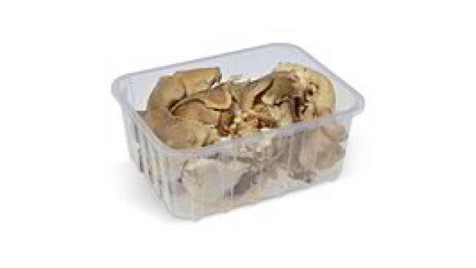 PLEUROTUS