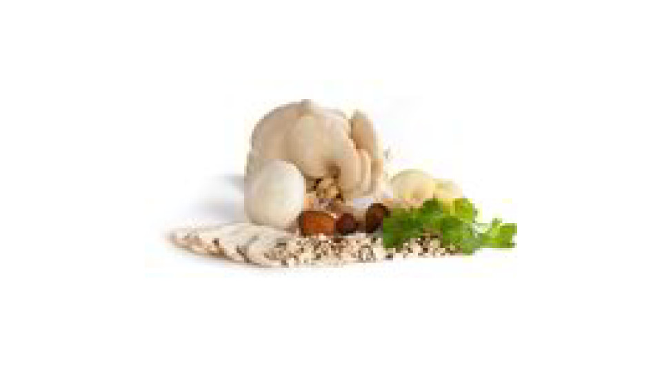 Pucci Funghi Trifolati