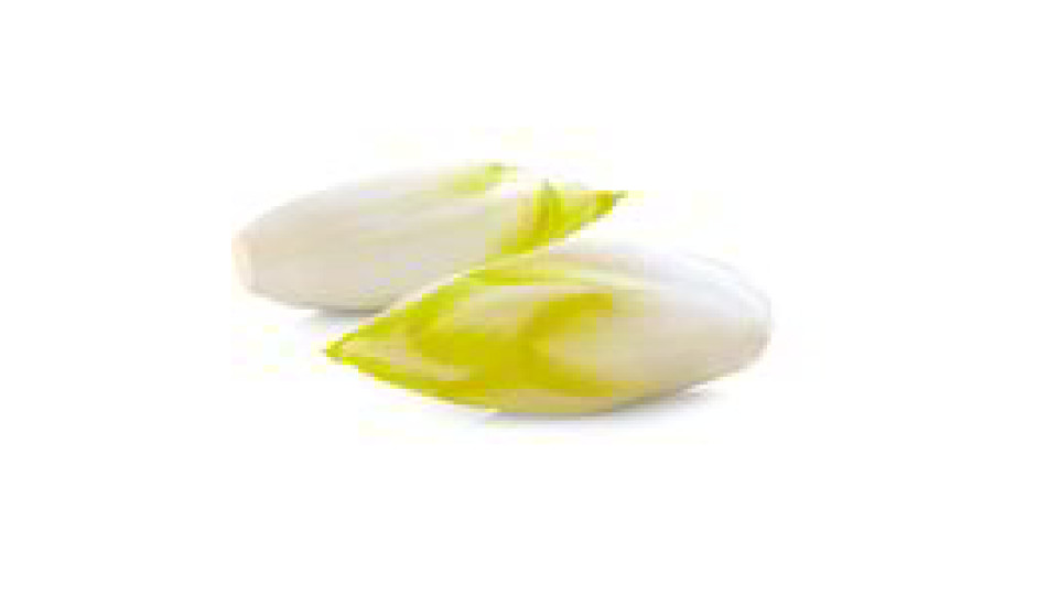 Indivia Belga