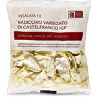 RADICCHIO CASTELFRANCO I.G.P.