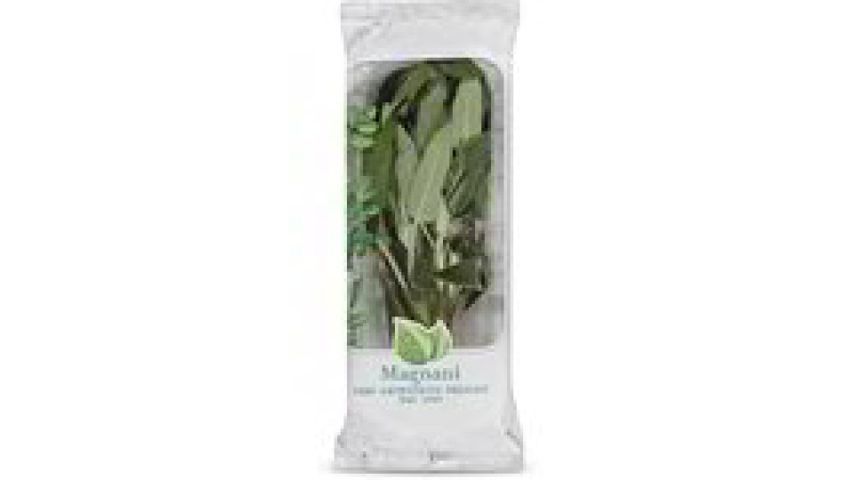 Salvia 0,040 Kg