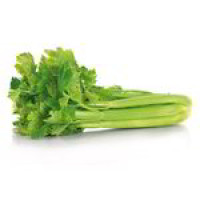 Sedano verde BIO