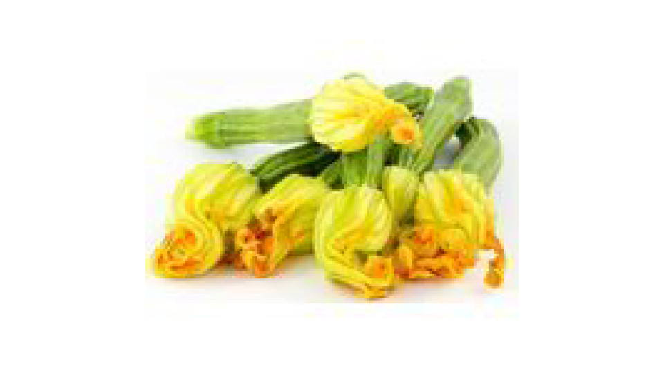 Zucchine Fiore