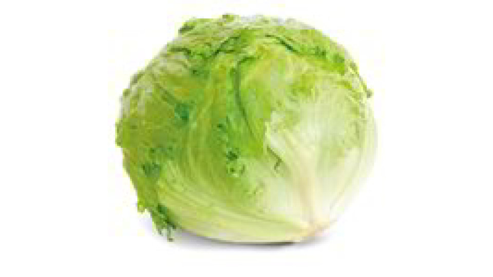 Lattuga Iceberg