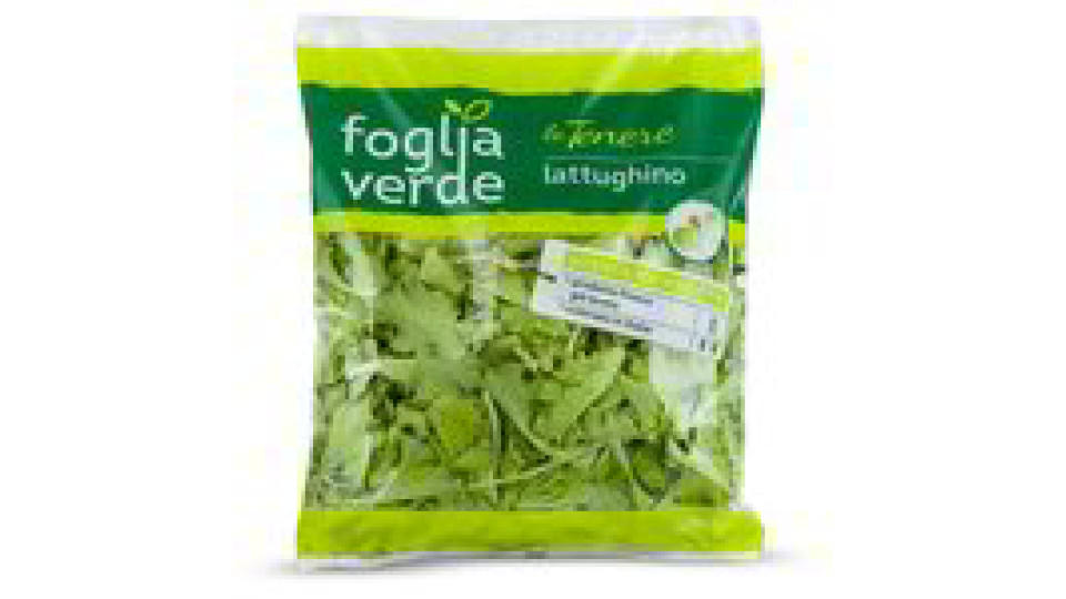 Lattughino