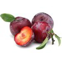 Susine Rosse Bio