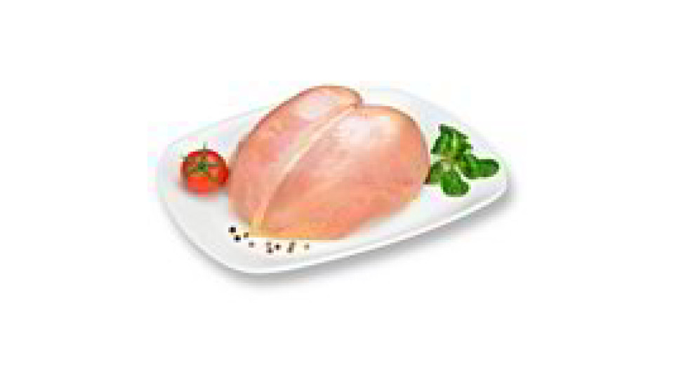 PETTO DI POLLO