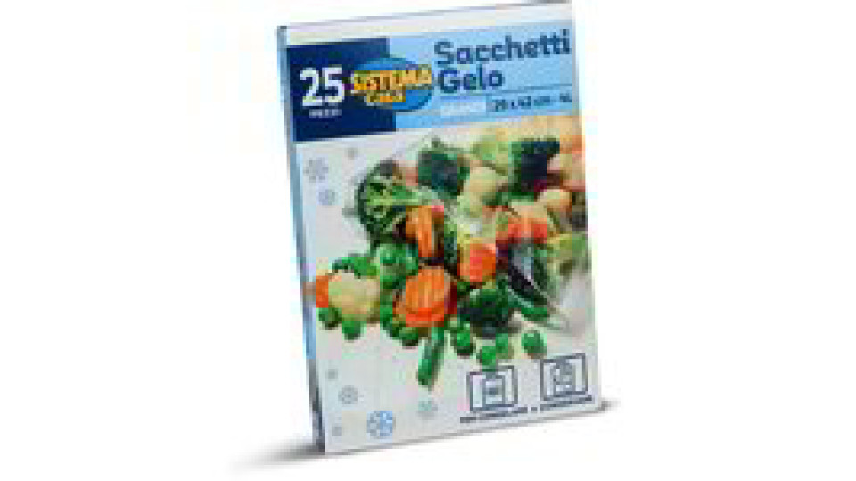 Sacchetti gelo grandi