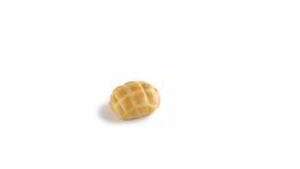 Tartaruga 4 pezzi da