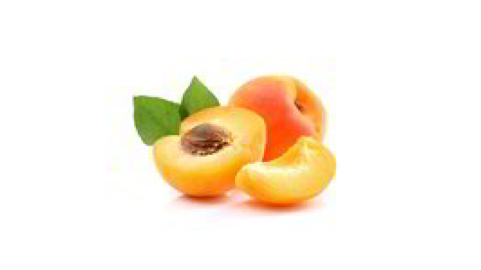 Albicocche