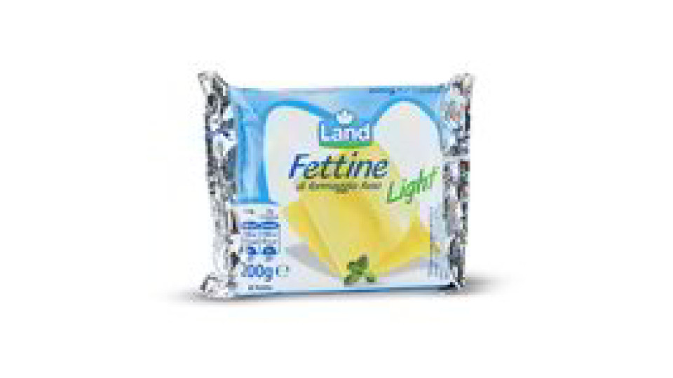 Fettine di formaggio fuso gr 200