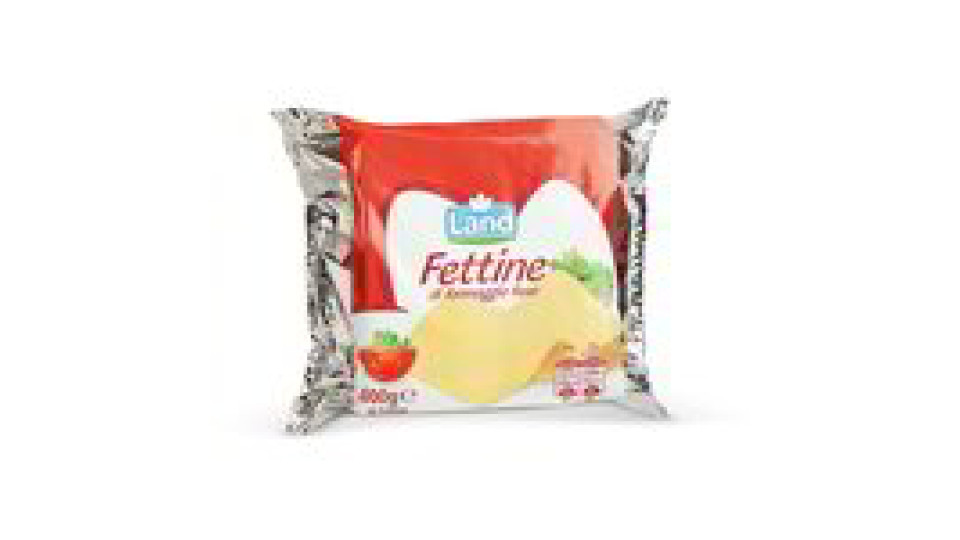 Fettine Formaggio Fuso 16pz