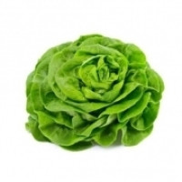 Insalata Trocadero