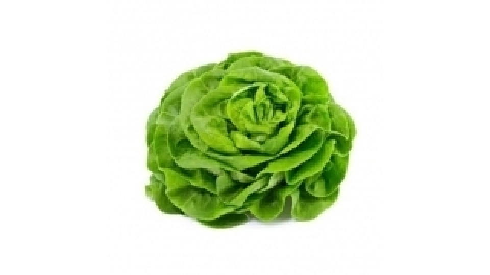 Insalata Trocadero