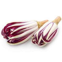 Radicchio Tardivo Lungo
