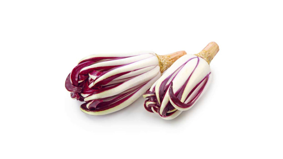 Radicchio Tardivo Lungo