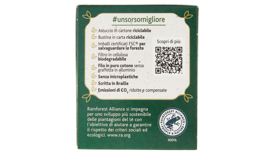 Curcuma Tè Verde 20 x 1,75 g