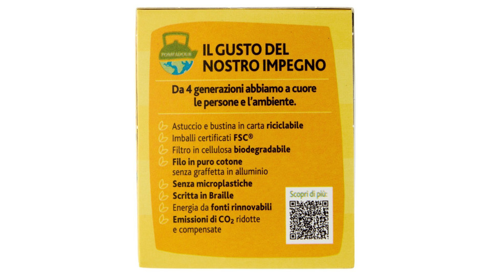 Sir Winston Tea Zenzero e limone tè nero 35 gr.