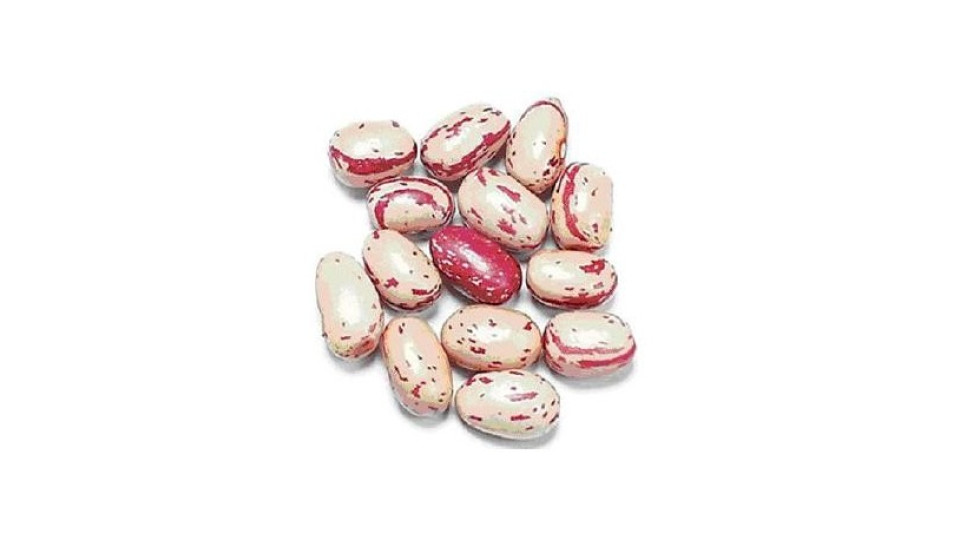 Fagioli Taccole