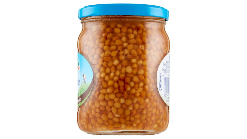Valfrutta, Bio lenticchie