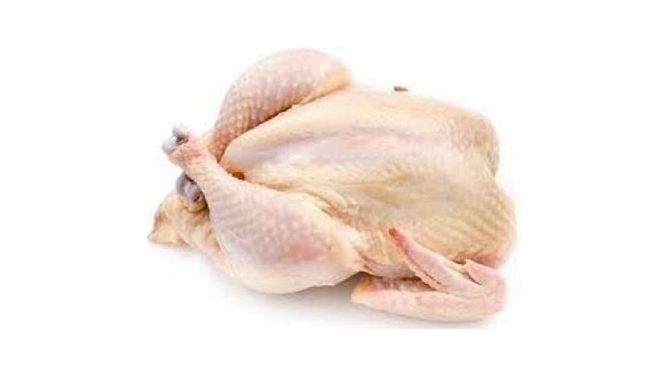 Pollo Busto 
