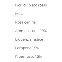 Bonomelli, Infusi Fruttosi 100% Naturali uva nera e fragola 12 filtri