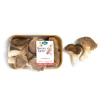 Funghi Cardoncello Coltivati