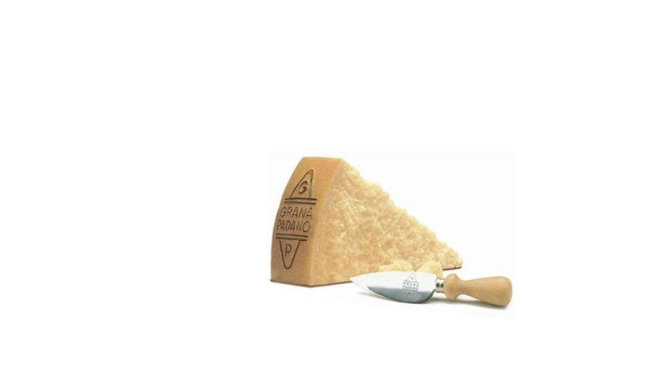 Grana Padano Dop Riserva 20 Mesi