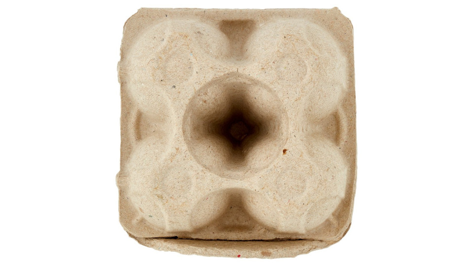 4 Uova Fresche Biologiche