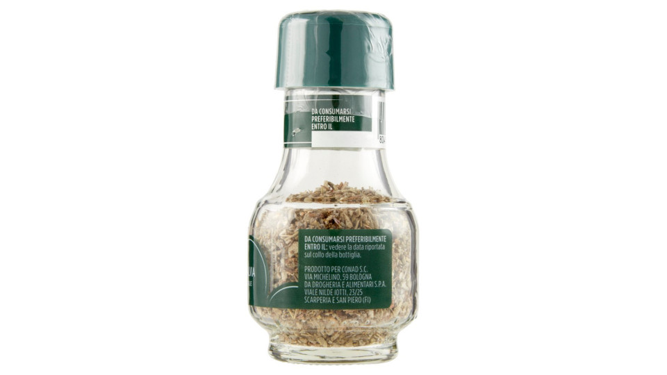 Salvia Foglie