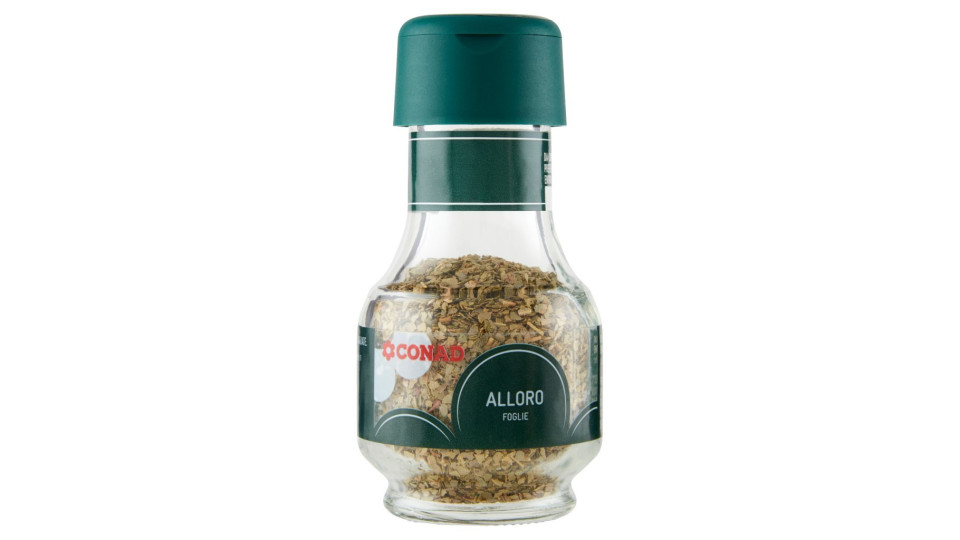 Alloro Foglie