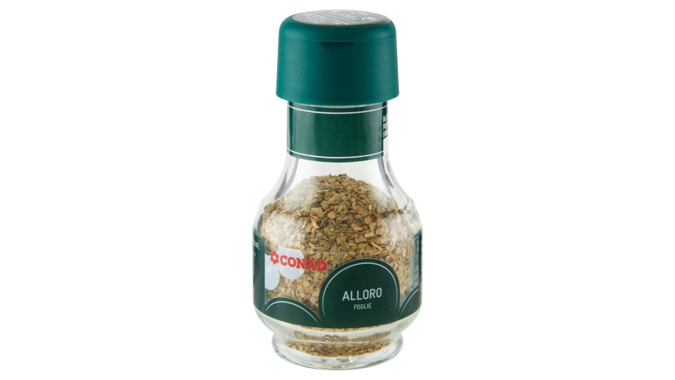 Alloro Foglie