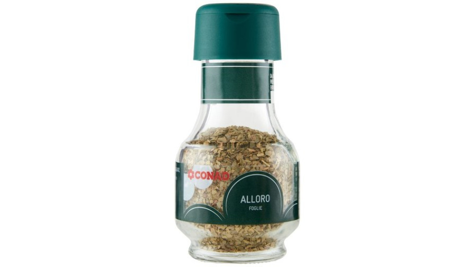 Alloro Foglie