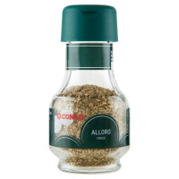 Alloro Foglie