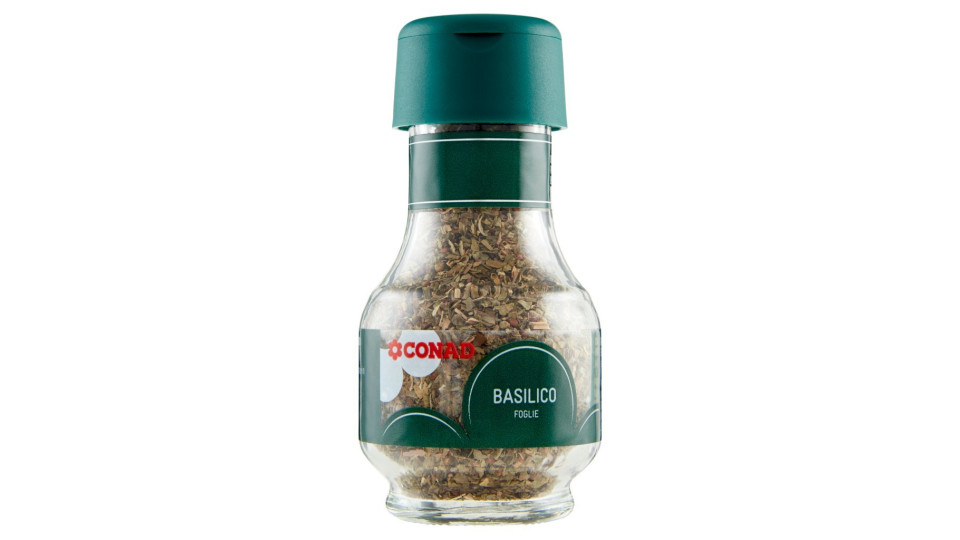 Basilico Foglie