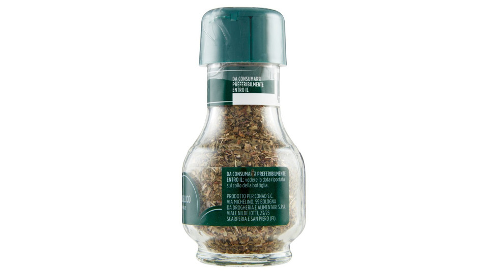 Basilico Foglie